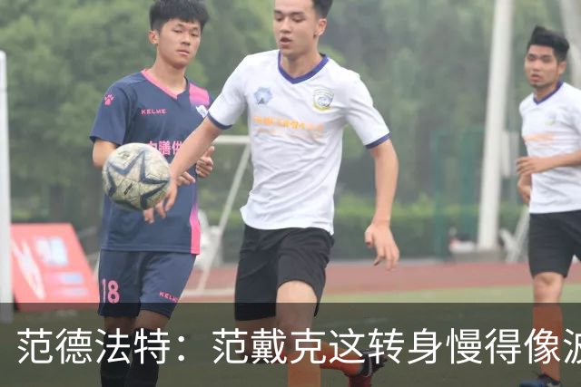 范德法特：范戴克这转身慢得像波音747，这可不是什么好事